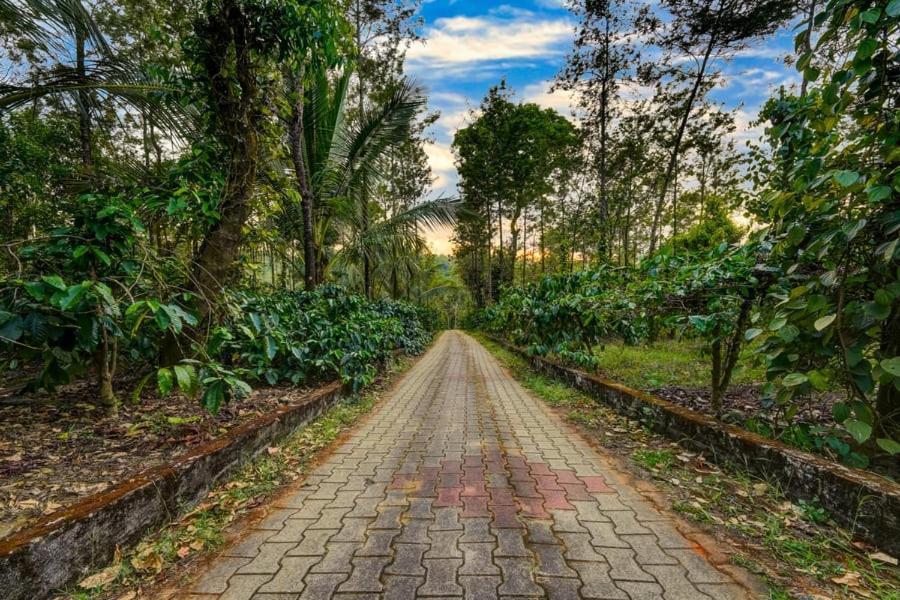 Coorg Bliss Estate Stay Мадикери Екстериор снимка