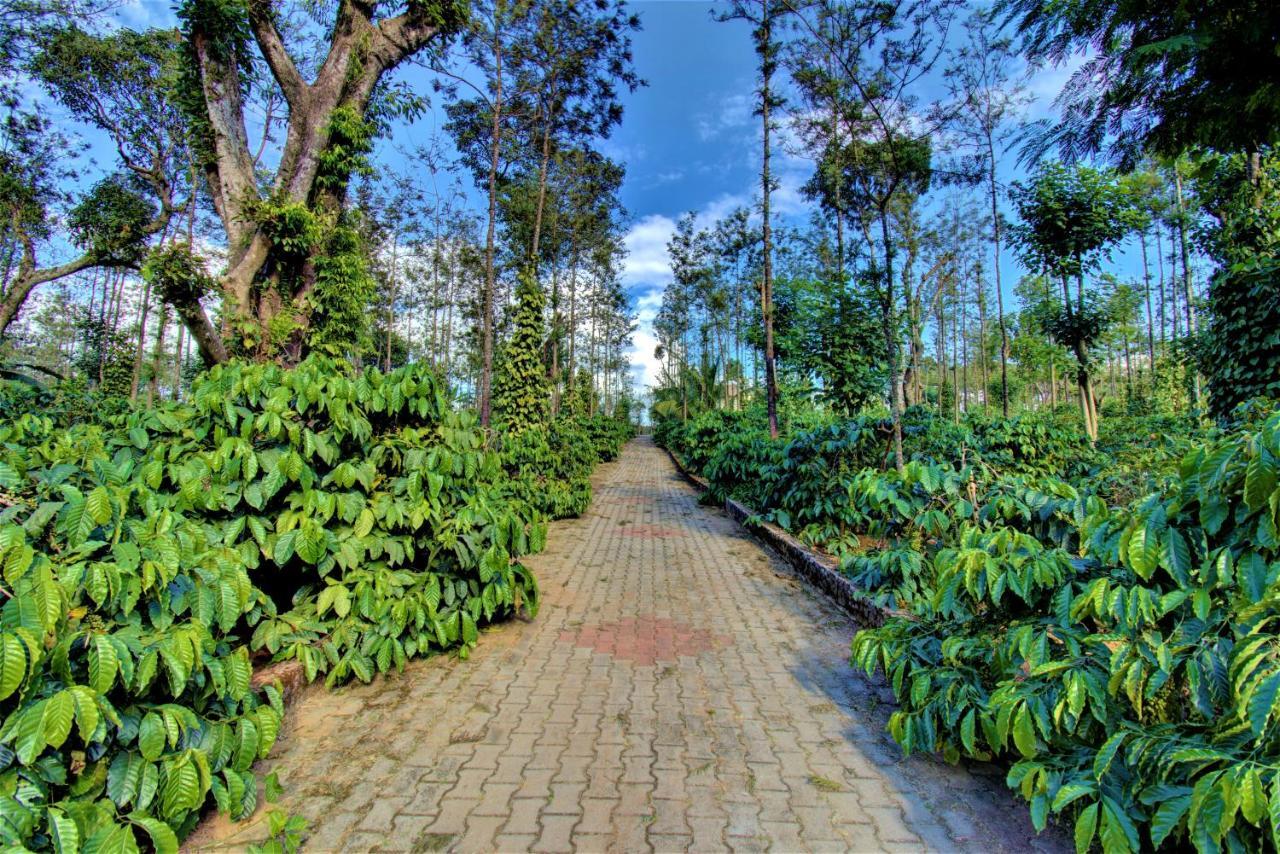 Coorg Bliss Estate Stay Мадикери Екстериор снимка