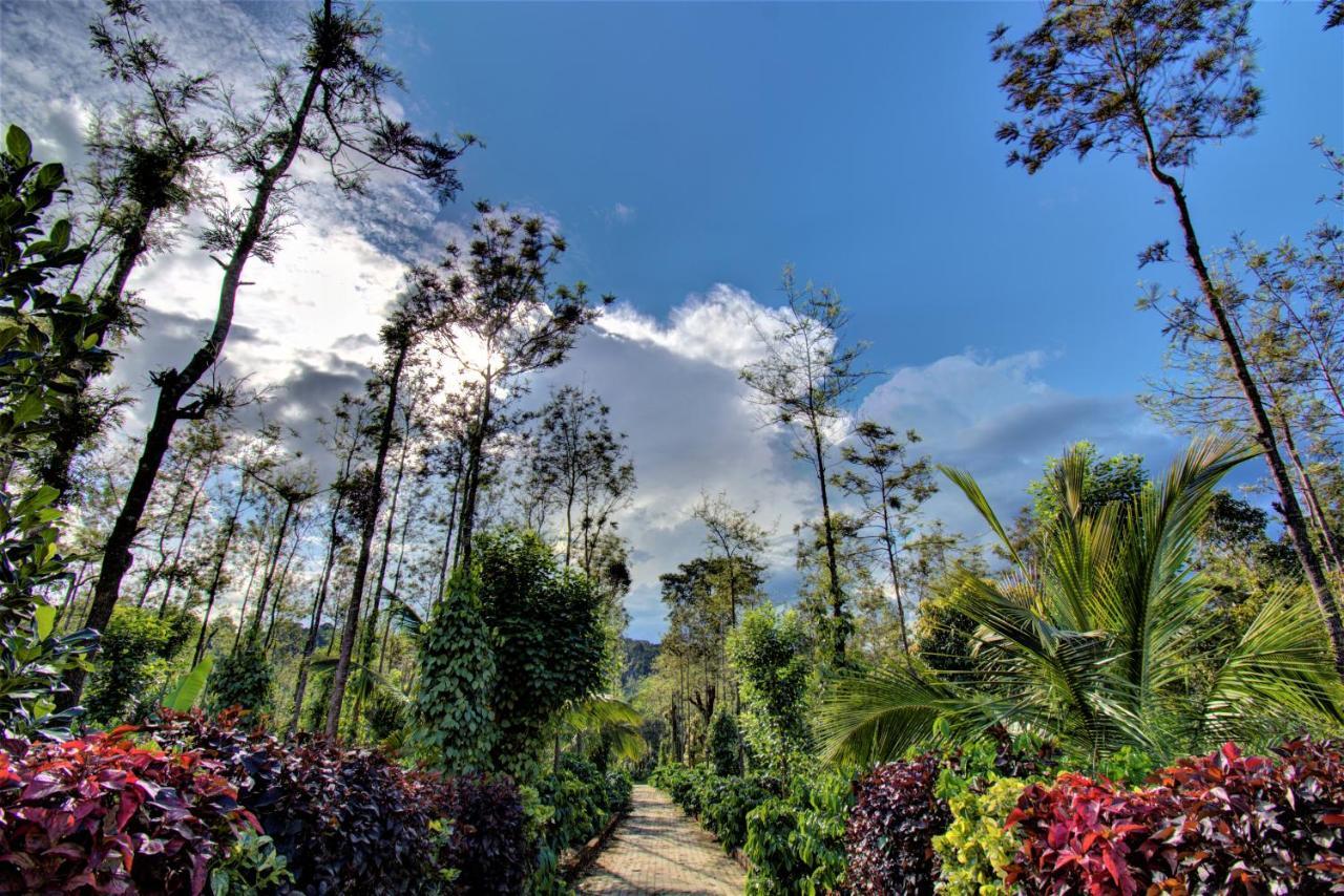 Coorg Bliss Estate Stay Мадикери Екстериор снимка