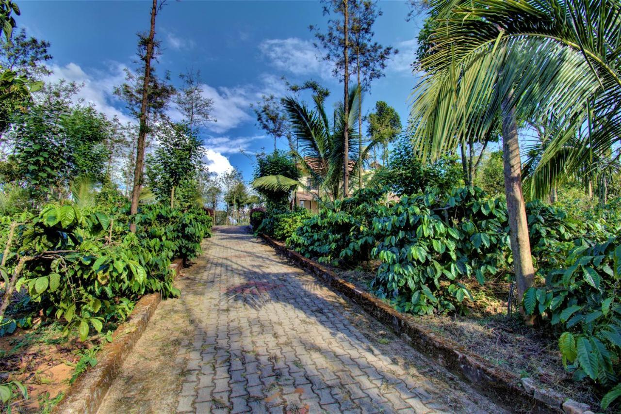 Coorg Bliss Estate Stay Мадикери Екстериор снимка
